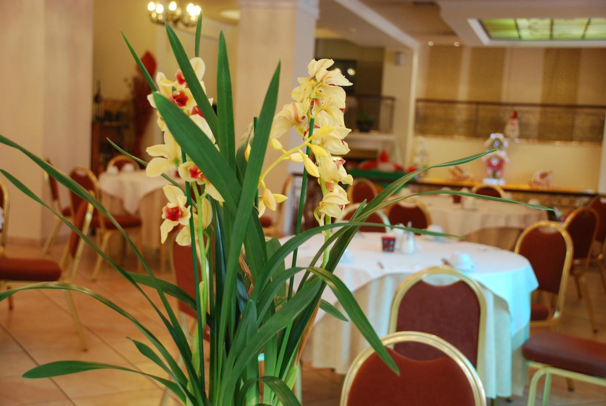 Hotel Pella يانيتسا المظهر الخارجي الصورة